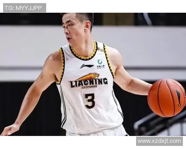 赵继伟：从青涩少年到篮球明星的成长之路与辉煌成就解析