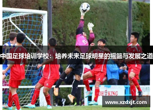 中国足球培训学校：培养未来足球明星的摇篮与发展之道