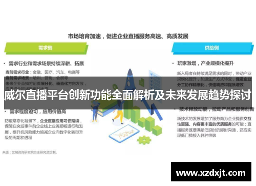 威尔直播平台创新功能全面解析及未来发展趋势探讨