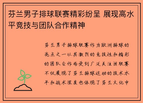 芬兰男子排球联赛精彩纷呈 展现高水平竞技与团队合作精神